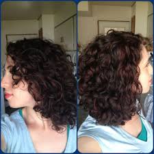 Black And Brown Highlights Curly Hair Great Curls Highlights Curly Hair Styles Highlights Curly Hair Hair Highlights And Lowlights