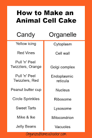 Check spelling or type a new query. How To Make An Animal Cell Cake In 10 Steps The Organized Homeschooler