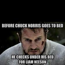 Pin By Sue Darling On Funny Liam Neeson Chuck Norris Jokes Chuck Norris
