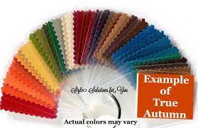 Personal Color Fans For Autumns True Soft Warm Or Deep Etsy In 2021 Soft Autumn Fall Color Palette Deep Autumn