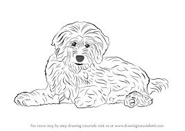 There are tons of great resources for free printable color pages online. Learn How To Draw A Goldendoodle Dogs Step By Step Drawing Tutorials