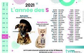 Possible que vous n'aimiez pas la lettre s pour votre chien cette année. Quel Nom Pour Les Chiens Nes En 2021