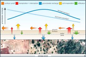 Not only has vegetation been shown to significantly improve nutrient removal, trees also seem to benefit from the nutrients in the stormwater, as a study that compared growth of trees irrigated with stormwater to trees irrigation with tapwater found that the trees irrigated with stormwater had greater height growth and root density compared with those irrigated with tap water (may et al 2006). Trees Forests And Water Cool Insights For A Hot World Sciencedirect