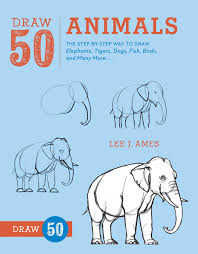 Choose from 250+ elephant animals graphic resources and download in the form of png, eps, ai or psd. Draw 50 Animals The Step By Step Way To Draw Elephants Tigers Dogs Fish Birds And Many More Ames Lee J 9780823085781 Amazon Com Books