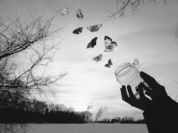 Black And White Black N White Foto Beautiful Creative Photos Retro Cards Retro Photos Cherno Belye Fotografii Retro Foto Sepiya Foto S Photo Art Black And White