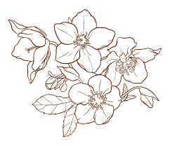 We did not find results for: 7 Best Printable Flower Patterns Wood Printablee Com