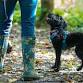 Rainbow Pooch in the Park/Rainbow Pooch yn y Parc event image