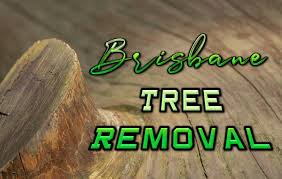 It is up to the permit holder to determine whether they are cutting on vacant crown land and not private land or first nations reserves. The 6 Best Options For Tree Removal In Brisbane 2021