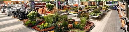 Obi Gartencenter Berlin Reinickendorf Alles Fur Deinen Garten