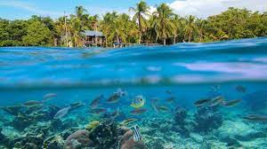 Search for real estate and find the latest listings of bocas del toro province property for sale. Bocas Del Toro Panamas Inselparadies Geo