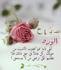 صباح الخير حبيبي morning greeting morning texts its friday quotes