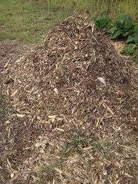 There are rules of cardinal when using the mulcher to combat the weed of the grass. How To Make Mulch At Home Full Mulching Guide Do Not Disturb Gardening