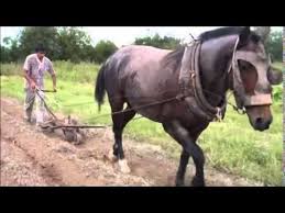 Lorenzo e lorival baixar : Velha Porteira Lourenco E Lourival Edicao Especial Youtube Lourenco E Lourival Sertanejos Antigos Porteiro