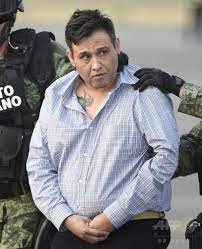 麻薬組織セタスのリーダー「Z-42」を拘束、メキシコ 写真5枚 国際ニュース：AFPBB News