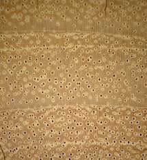 Image result for Isoberlinia angolensis