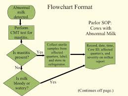 surprising standard operating procedure flow chart template