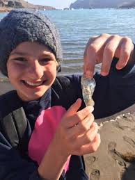 PAWSitive Reflections, August 2018