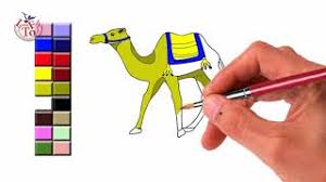 How to make kombucha video. How To Draw A Camel Cart Easily Herunterladen