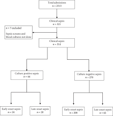 Image result for Neonatal Sepsis