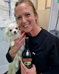 Vetsmiths (@vetsmiths) · Wimborne