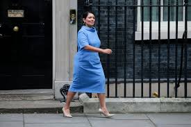 Pesky activist lawyers, who insist on ensuring that the government doesn't break the law, are almost as much of a nuisance as these people daring to cross. Home Secretary Priti Patel A Profile Thearticle