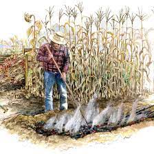 Biochar workshop part 1, how to make biochar. Making Biochar To Improve Soil Mother Earth News