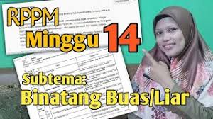 Contoh rppm paud tema binatang semester 1 tahun 2017 cuitan dokter contoh terbaru rkh sentra bermain drama paud tema binatang rpph tarian modern mochammad maulana trianggono m pd pdf free download rpph tk kelompok a dan b tema binatang sub tema binatang hidup di contoh rppm tema pekerjaan docx. Rppm Materi Sub Tema Binatang Buas Tk Paud Bdr Daring Minggu 14 Youtube