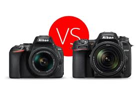 nikon d5600 vs d7500 which should you buy light and matter