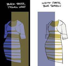 Check spelling or type a new query. Thedress Quelle Est La Veritable Couleur De Cette Robe Welovebuzz