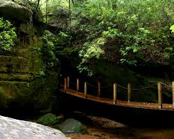 If we come back next year we will check out the cabins, they look rustic and comfy. Dismals Canyon Alabama S Secret Hiding Place Simply Southern Mom