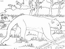 Jan 07, 2017 · of all the gigantic popular monsters invented in this popular culture of ours, godzilla is probably the most famous one. Black Panther Coloring Page 22592 Bestofcoloring Com Coloring Home