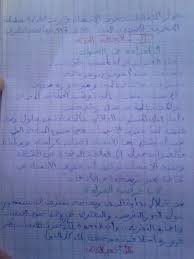 نص ثقافة حقوق الإنسان