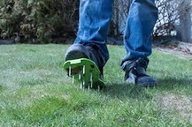 After you aerate your lawn, it will look a bit odd. Can You Aerate The Lawn When It S Wet Landscapingplanet Learning To Create The Most Beautiful Garden
