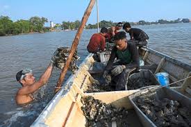 Hmrc phone numbers company name: Sungai Muar Becoming Saltier The Star