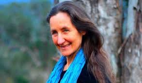 Baked Chicken Wings Baked Chicken Wings Recipe