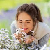 Perfumer & Flavorist