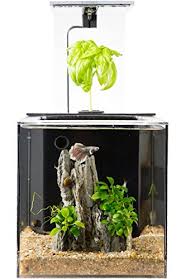 2 should you use live or fake plants? Beautiful Self Cleaning Aquaponics Tanks With Plants On Top For Betta Fish