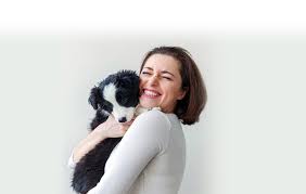 Maybe you would like to learn more about one of these? Veterinarian In Madison Wi Petcare Animal Hospital