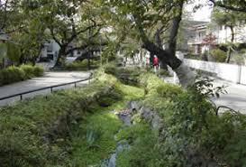 Résultat de recherche d'images pour "北沢川緑道"