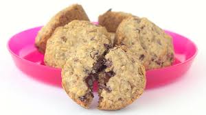 Petits Gateaux Au Chocolat Aux Flocons D Avoine Et Aux Canneberges Recipe Desserts Food Biscuits