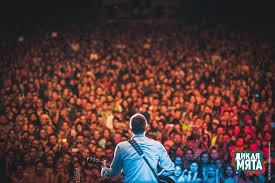 Музыкальный фестиваль «дикая мята», который должен был пройти в тульской области с 18 по 20 июня, отменен. Festival Dikaya Myata Etno Dzhaz Rok 23 Iyunya 2017 Jazzmap Ru