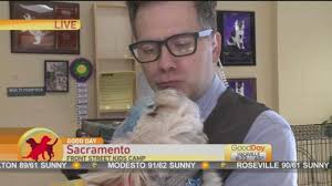 Pet Camp, Shaved Ice, Cake Fighting and More… Today in the News