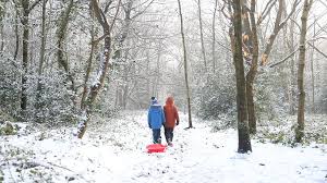 Our collection of beautiful winter photography. In Pictures Winter Scenes From Around Uk Bbc News