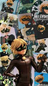 Tales of leopardess, ladybug, and cat noir book 1. Chatnoir Wallpaper In 2021 Miraculous Ladybug Wallpaper Miraculous Wallpaper Miraculous Ladybug Fanfiction