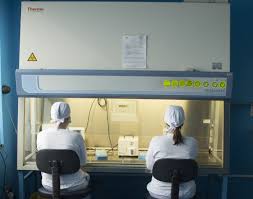 Vei gasi toate sfaturile privind acest procedeu! Recoltarea De Celule Stem 4 IntrebÄƒri Pe Care SÄƒ Le Pui Inainte SÄƒ Iei O Decizie Cord Blood Center Group