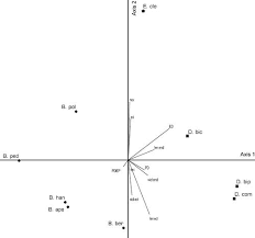 Image result for Basananthe apetala