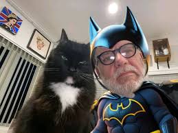 Can someone add a Batman mask to my cat photo?