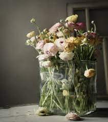 Ranunculus Flower Arrangements Pretty Flowers Beautiful Flowers