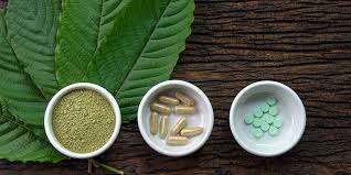 Kratom: the risky new substance you need to know about | Alaska Regional  Hospital