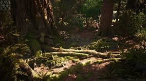 Ue4 Redwood Forest Pack 3d Model Low Poly Animated Uasset 6 In 2020 Redwood Forest Sequoia Forest Forest